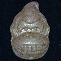 Donkey Kong molecular scheme