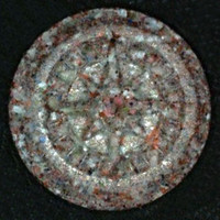 Kompass molecular scheme