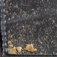 Dope molecular scheme