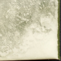 Cocaine molecular scheme