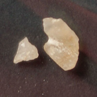 Molly molecular scheme