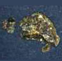 Unbekannte Substanz molecular scheme