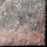 Molly molecular scheme