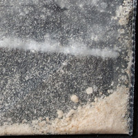 MDMA molecular scheme