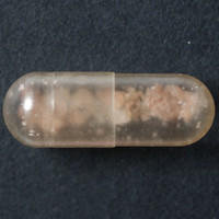 Molly molecular scheme