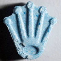 Rolex molecular scheme