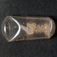 Molly molecular scheme