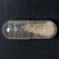 Molly molecular scheme