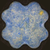 Kleeblatt molecular scheme