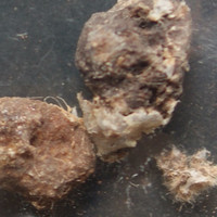 Brown Powder molecular scheme