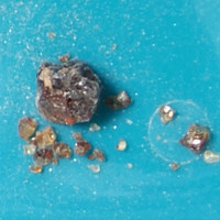 MDMA molecular scheme