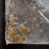 Brown/Green Paste molecular scheme