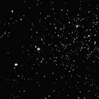 White Powder molecular scheme