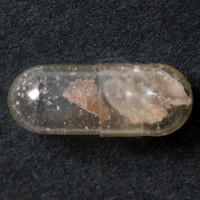 Molly molecular scheme