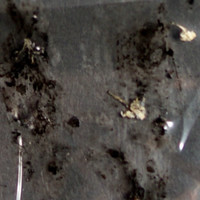 Black Residue molecular scheme