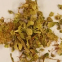 Adulterated Cannabis molecular scheme