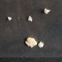 Crack molecular scheme