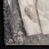 Dope molecular scheme