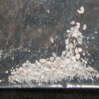 Molly molecular scheme