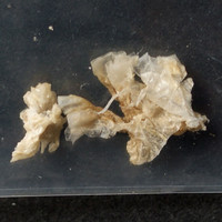 Brown Powder molecular scheme