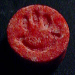 Evolution molecular scheme