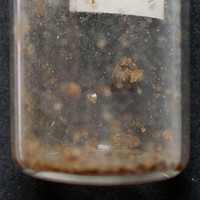 MDMA molecular scheme