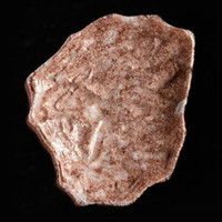 Lion molecular scheme