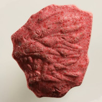 Lion molecular scheme