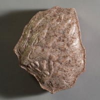 Lion molecular scheme