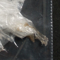 White Rock molecular scheme