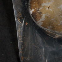 Fent molecular scheme