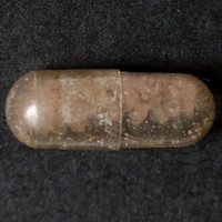 Molly molecular scheme