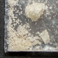 Molly molecular scheme