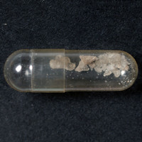 Molly molecular scheme