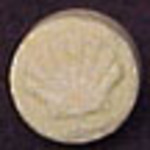 Shell molecular scheme