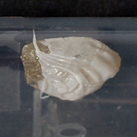 MDMA molecular scheme