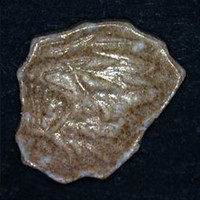 Lion molecular scheme