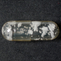 GHB molecular scheme