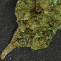 Adulterated Cannabis molecular scheme