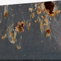 Crack Cocaine molecular scheme