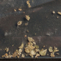 Spice molecular scheme