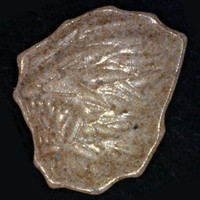 Lion molecular scheme