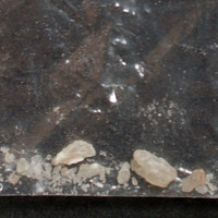 Molly molecular scheme