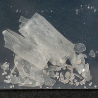 Molly molecular scheme