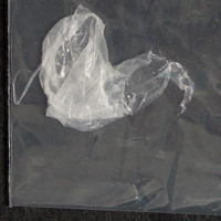 White Residue molecular scheme