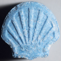 Shell molecular scheme