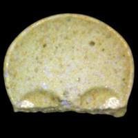 Totenkopf / MyBrand molecular scheme