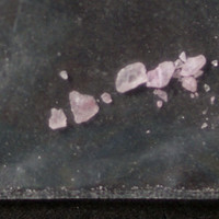 Molly molecular scheme