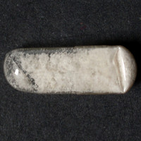 Molly molecular scheme