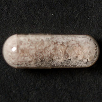 Molly molecular scheme